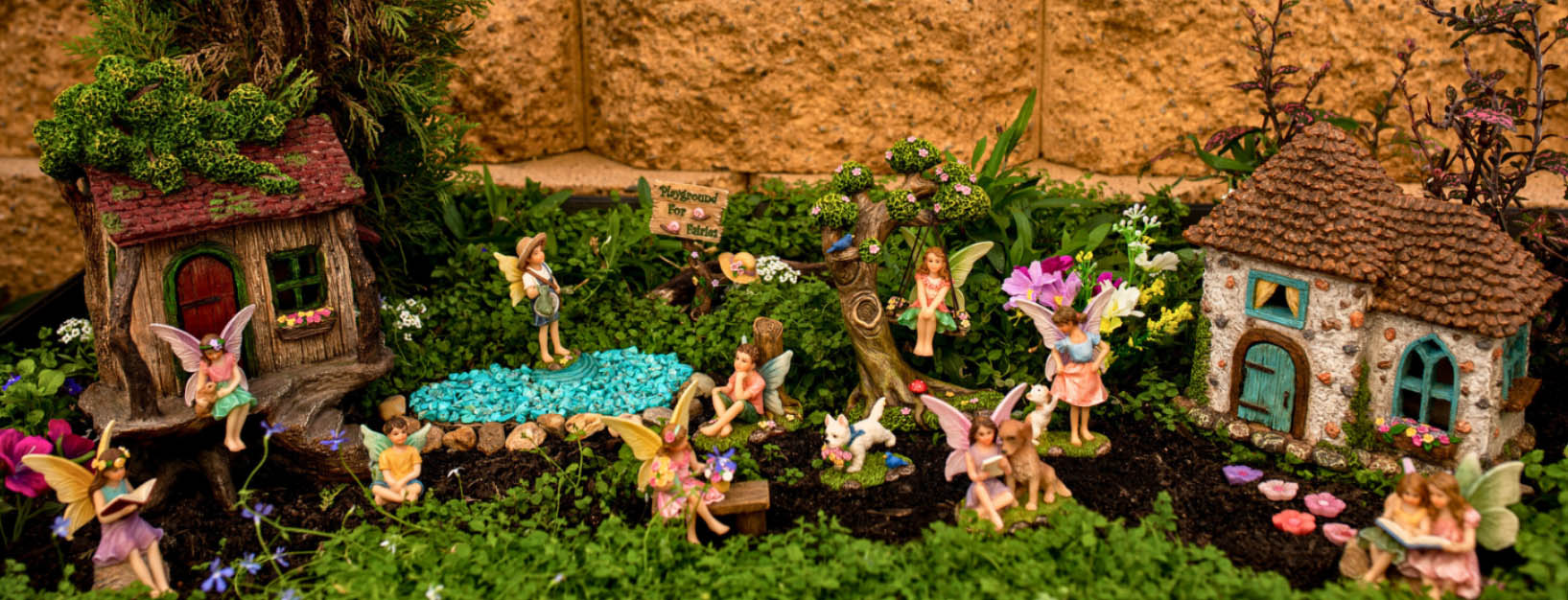 Toys Specialty Shop -Toys Specialty Shop fghjfgj